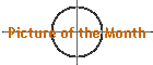 Picture of the Month
