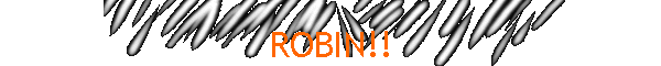 ROBIN!!